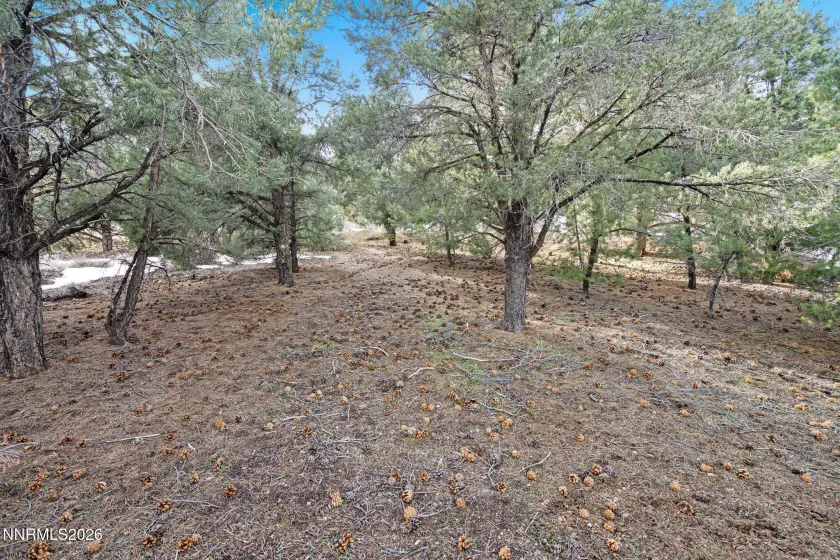 21740 Clemens, Reno, Nevada 89521, ,Land,Residential,Clemens,0,260001207