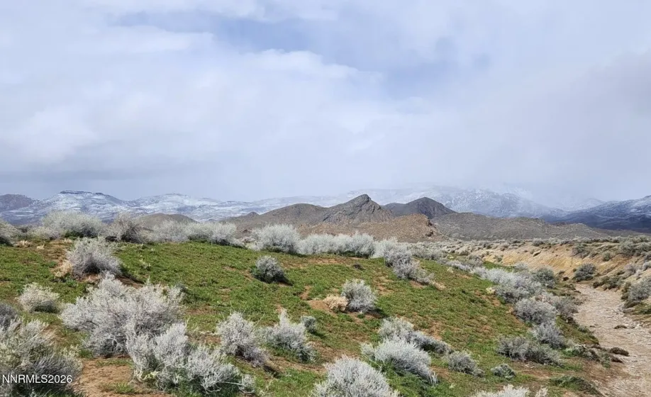 101213 Fencemaker Road, Lovelock, Nevada 89419, ,Land,Residential,Fencemaker Road,0,260001214