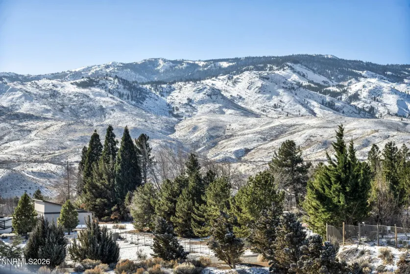 325 Jackson Springs, Reno, Nevada 89523, 4 Bedrooms Bedrooms, ,3 BathroomsBathrooms,Residential,Residential,Jackson Springs,260001253