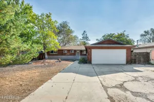 1329 Stanford, Carson City, Nevada 89701, 3 Bedrooms Bedrooms, ,2 BathroomsBathrooms,Residential,Residential,Stanford,250055402