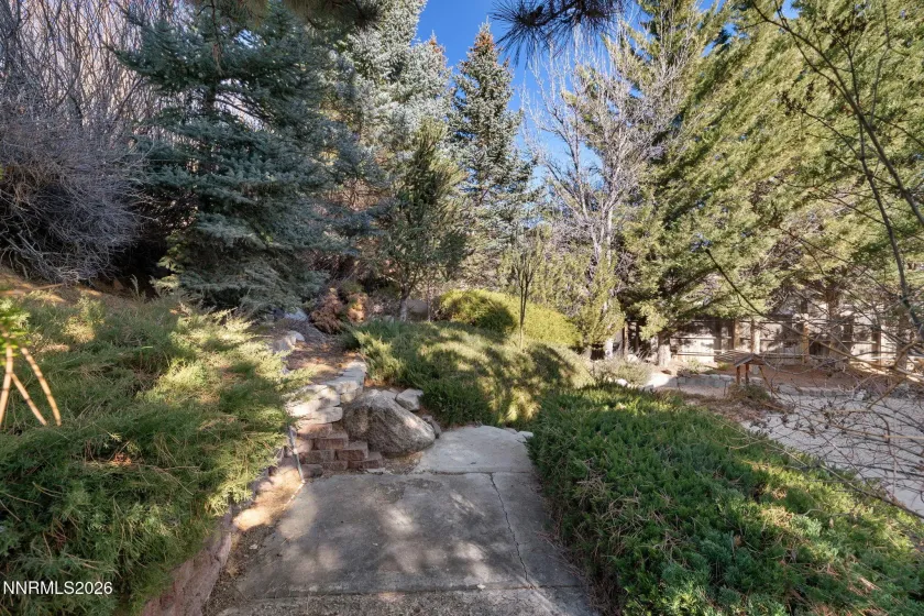 535 Cliff View, Reno, Nevada 89523, 3 Bedrooms Bedrooms, ,3 BathroomsBathrooms,Residential,Residential,Cliff View,260001316