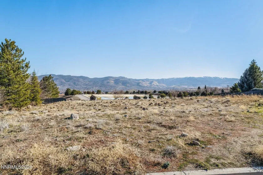 1235 Springer, Reno, Nevada 89511, ,Land,Residential,Springer,260001324