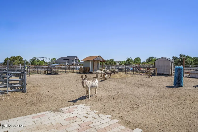 1922 Wiseman, Gardnerville, Nevada 89410, 4 Bedrooms Bedrooms, ,4 BathroomsBathrooms,Residential,Residential,Wiseman,260001341