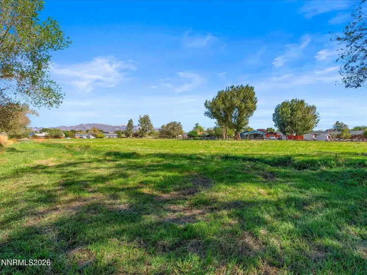 965 Westerlund, Fernley, Nevada 89408, 4 Bedrooms Bedrooms, ,3 BathroomsBathrooms,Residential,Residential,Westerlund,260001400