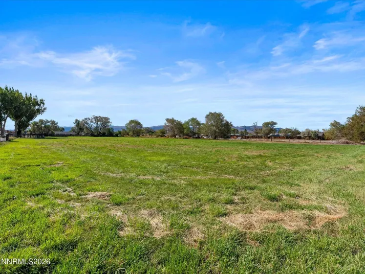 965 Westerlund, Fernley, Nevada 89408, 4 Bedrooms Bedrooms, ,3 BathroomsBathrooms,Residential,Residential,Westerlund,260001400