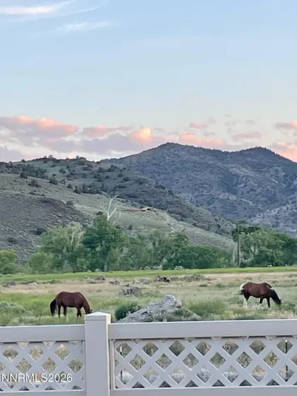 313 San Roma, Dayton, Nevada 89403, 4 Bedrooms Bedrooms, ,4 BathroomsBathrooms,Residential,Residential,San Roma,260001385