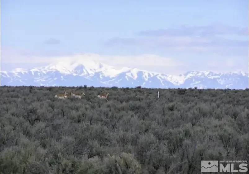 06068114 Near Dutch, Winnemucca, Nevada 89445, ,Land,Residential,Near Dutch,0,250001689