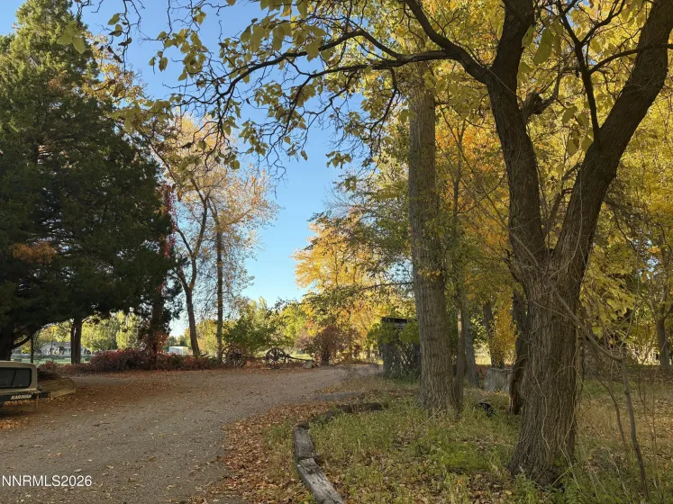 4755 Alcorn, Fallon, Nevada 89406, 4 Bedrooms Bedrooms, ,3 BathroomsBathrooms,Residential,Residential,Alcorn,260001533