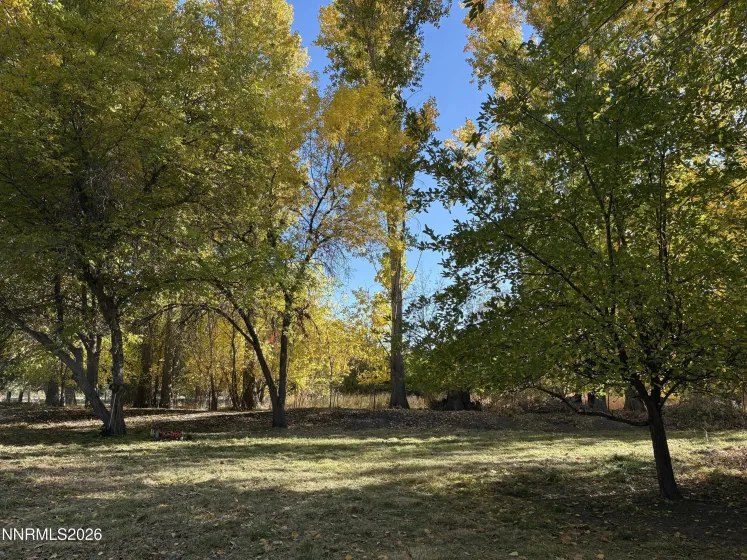 4755 Alcorn, Fallon, Nevada 89406, 4 Bedrooms Bedrooms, ,3 BathroomsBathrooms,Residential,Residential,Alcorn,260001533