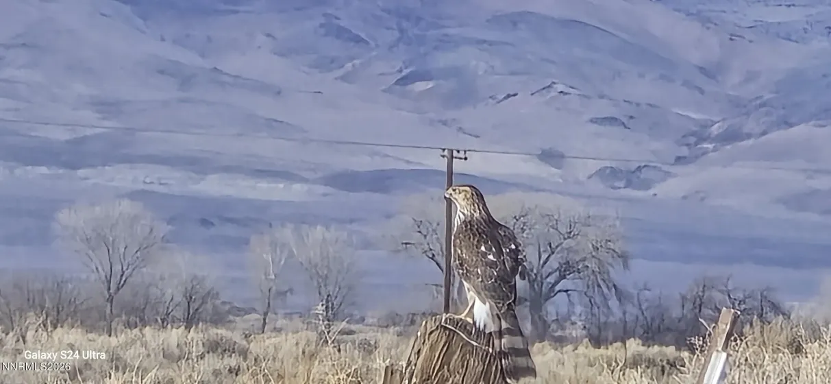 389 Norcutt, Fallon, Nevada 89406, ,Land,Residential,Norcutt,260001545