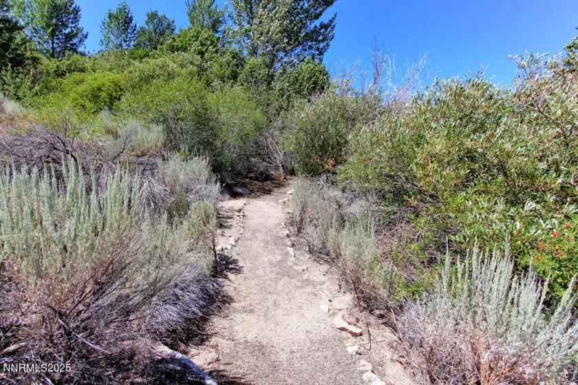 1272 Kingsbury Grade, Gardnerville, Nevada 89460, 3 Bedrooms Bedrooms, ,3 BathroomsBathrooms,Residential,Residential,Kingsbury Grade,250053455