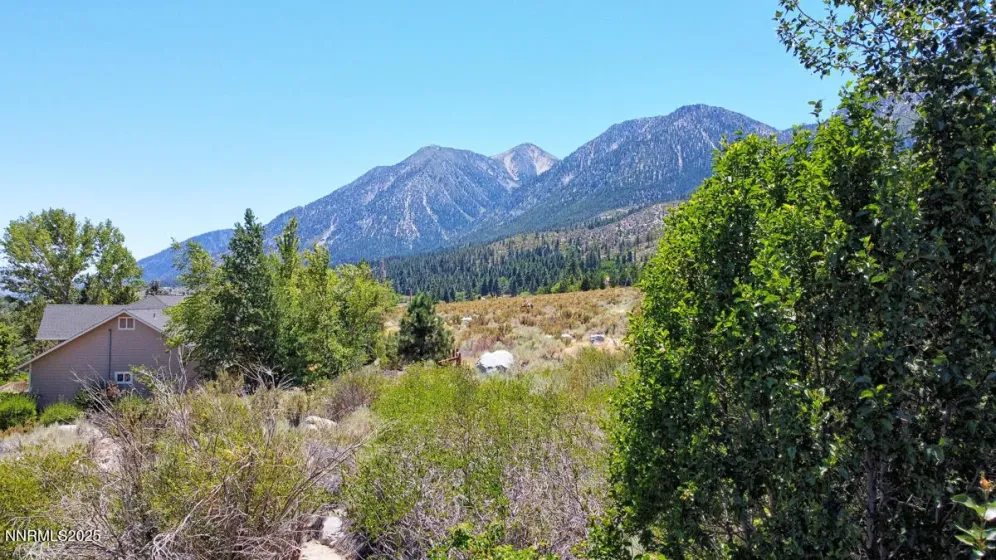 1272 Kingsbury Grade, Gardnerville, Nevada 89460, 3 Bedrooms Bedrooms, ,3 BathroomsBathrooms,Residential,Residential,Kingsbury Grade,250053455