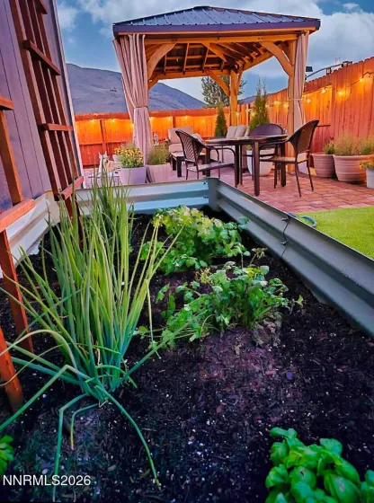 Summer bloom from seller