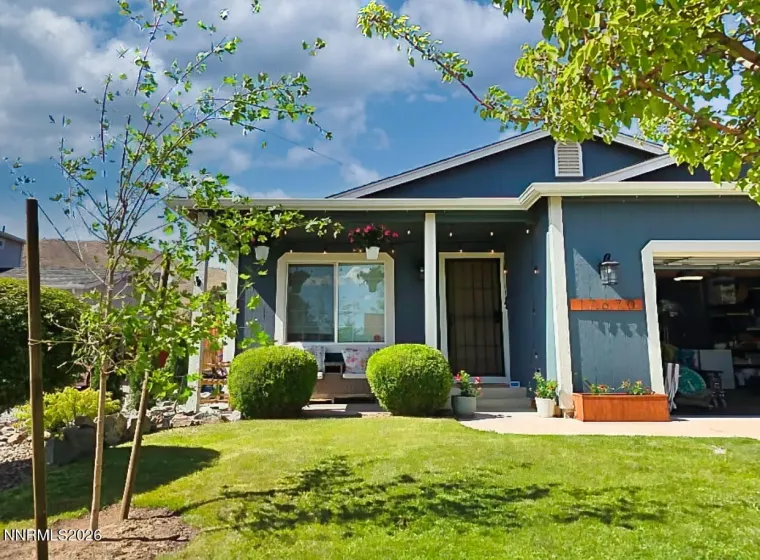 Summer photo from seller