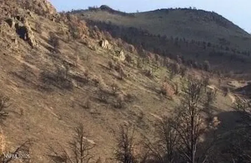 8522 Pinenut Creek, Gardnerville, Nevada 89410, 1 Bedroom Bedrooms, ,2 BathroomsBathrooms,Residential,Residential,Pinenut Creek,260001606