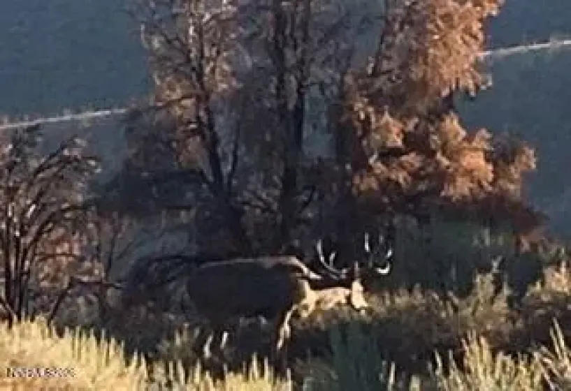 8522 Pinenut Creek, Gardnerville, Nevada 89410, 1 Bedroom Bedrooms, ,2 BathroomsBathrooms,Residential,Residential,Pinenut Creek,260001606