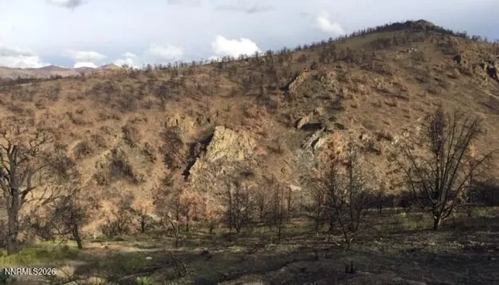 8522 Pinenut Creek, Gardnerville, Nevada 89410, 1 Bedroom Bedrooms, ,2 BathroomsBathrooms,Residential,Residential,Pinenut Creek,260001606