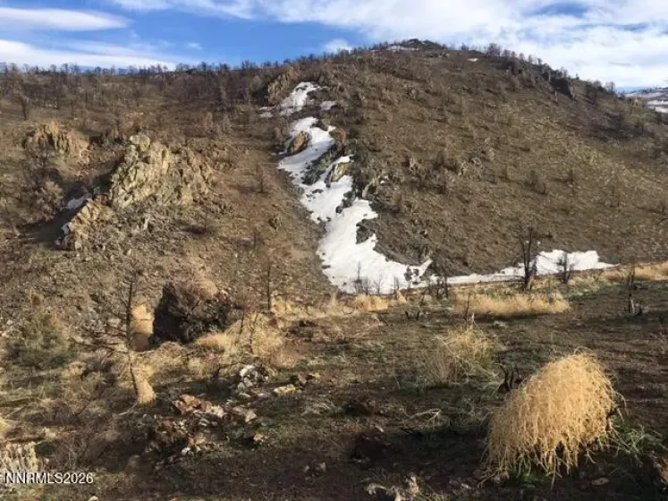 8522 Pinenut Creek, Gardnerville, Nevada 89410, 1 Bedroom Bedrooms, ,2 BathroomsBathrooms,Residential,Residential,Pinenut Creek,260001606