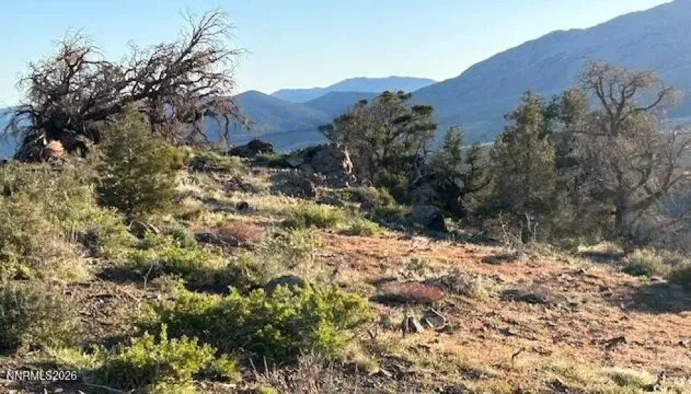 8522 Pinenut Creek, Gardnerville, Nevada 89410, 1 Bedroom Bedrooms, ,2 BathroomsBathrooms,Residential,Residential,Pinenut Creek,260001606