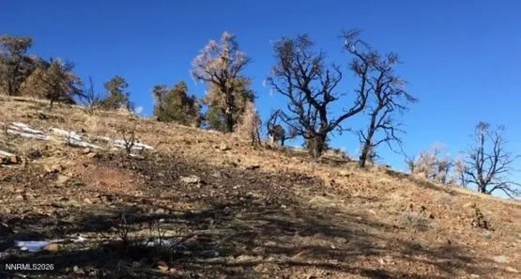 8522 Pinenut Creek, Gardnerville, Nevada 89410, 1 Bedroom Bedrooms, ,2 BathroomsBathrooms,Residential,Residential,Pinenut Creek,260001606