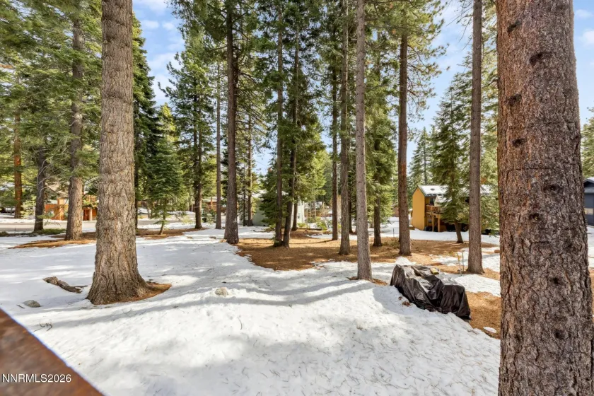 567 Bronco, Incline Village, Nevada 89451, 3 Bedrooms Bedrooms, ,2 BathroomsBathrooms,Residential,Residential,Bronco,260001625