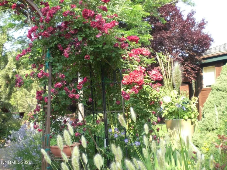 4055 Plateau, Reno, Nevada 89519, 3 Bedrooms Bedrooms, ,3 BathroomsBathrooms,Residential,Residential,Plateau,260001642