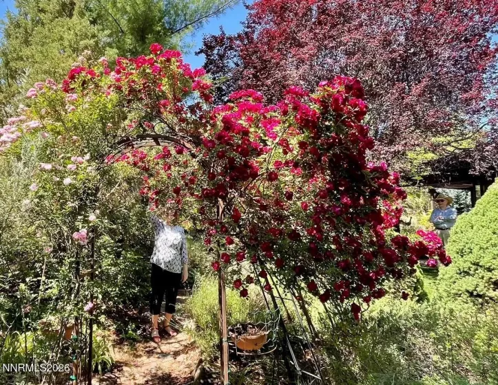 4055 Plateau, Reno, Nevada 89519, 3 Bedrooms Bedrooms, ,3 BathroomsBathrooms,Residential,Residential,Plateau,260001642