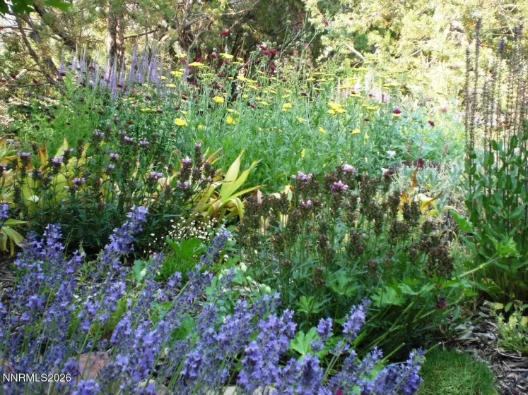 4055 Plateau, Reno, Nevada 89519, 3 Bedrooms Bedrooms, ,3 BathroomsBathrooms,Residential,Residential,Plateau,260001642