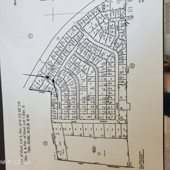 776 Gladys, Walker Lake, Nevada 89415, ,Land,Residential,Gladys,260001645