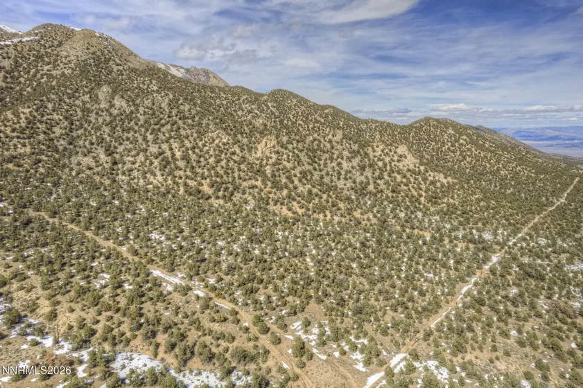 0 APN 006-420-17 Lucky Boy Pass Road, Hawthorne, Nevada 89415, ,Land,Residential,APN 006-420-17 Lucky Boy Pass Road,260001647