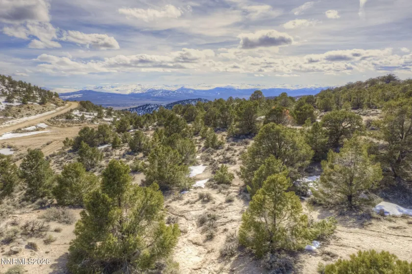 0 APN 006-420-17 Lucky Boy Pass Road, Hawthorne, Nevada 89415, ,Land,Residential,APN 006-420-17 Lucky Boy Pass Road,260001647