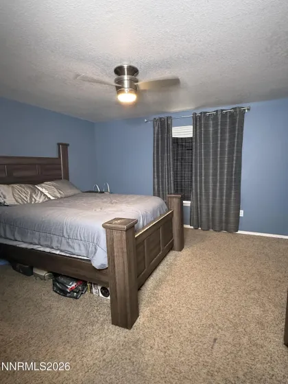 115 Willow, Lovelock, Nevada 89419, 4 Bedrooms Bedrooms, ,2 BathroomsBathrooms,Residential,Residential,Willow,260001704