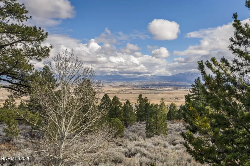 220 Sheridan Creek, Gardnerville, Nevada 89460, 5 Bedrooms Bedrooms, ,4 BathroomsBathrooms,Residential,Residential,Sheridan Creek,260001717