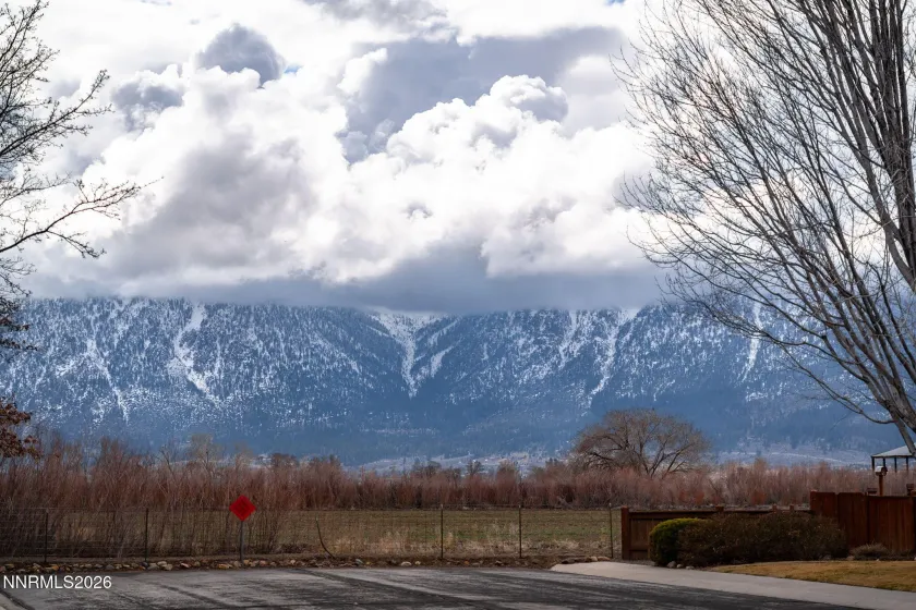 1636 Mackland, Minden, Nevada 89423, 3 Bedrooms Bedrooms, ,3 BathroomsBathrooms,Residential,Residential,Mackland,260001727