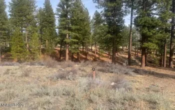 35 Boulders Bend, Carson City, Nevada 89705, ,Land,Residential,Boulders Bend,260001760