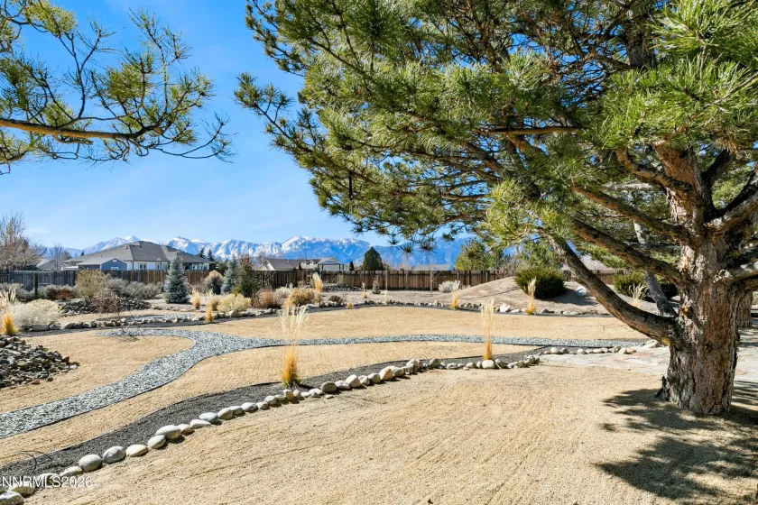 Dryscape landscaping