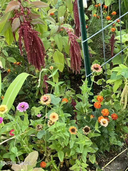 1371 White Bluffs, Fernley, Nevada 89408, 4 Bedrooms Bedrooms, ,3 BathroomsBathrooms,Residential,Residential,White Bluffs,260001870