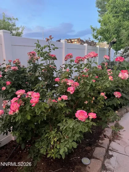 1371 White Bluffs, Fernley, Nevada 89408, 4 Bedrooms Bedrooms, ,3 BathroomsBathrooms,Residential,Residential,White Bluffs,260001870