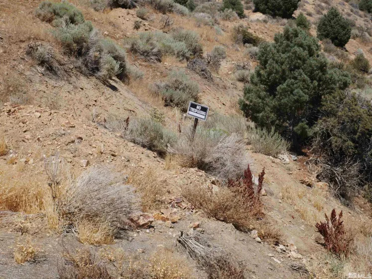 0 C St/Hwy 341, Virginia City, Nevada 89440, ,Land,Residential,C St/Hwy 341,0,250001546