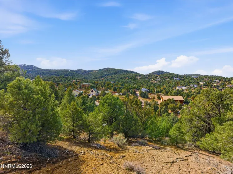 1859 Lousetown, Reno, Nevada 89521, ,Land,Residential,Lousetown,260001922