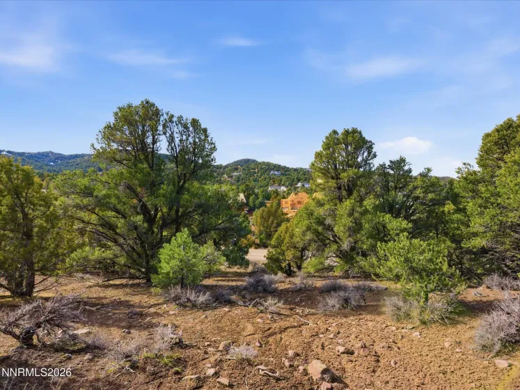 1859 Lousetown, Reno, Nevada 89521, ,Land,Residential,Lousetown,260001922