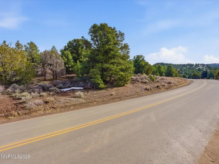 1859 Lousetown, Reno, Nevada 89521, ,Land,Residential,Lousetown,260001922