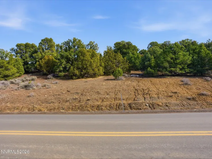 1859 Lousetown, Reno, Nevada 89521, ,Land,Residential,Lousetown,260001922