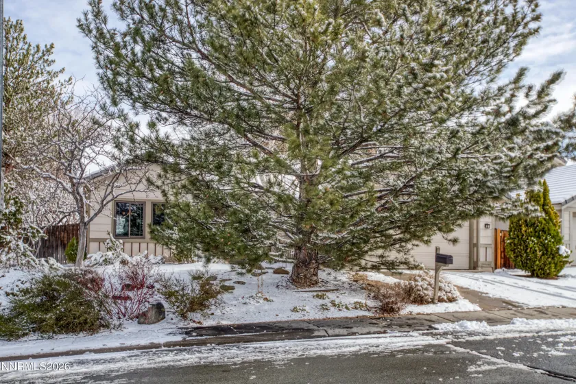 5216 Santa Barbara, Sparks, Nevada 89436, 3 Bedrooms Bedrooms, ,2 BathroomsBathrooms,Residential,Residential,Santa Barbara,260001947