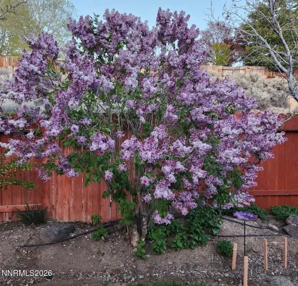 5216 Santa Barbara, Sparks, Nevada 89436, 3 Bedrooms Bedrooms, ,2 BathroomsBathrooms,Residential,Residential,Santa Barbara,260001947