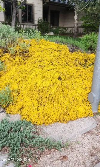 5216 Santa Barbara, Sparks, Nevada 89436, 3 Bedrooms Bedrooms, ,2 BathroomsBathrooms,Residential,Residential,Santa Barbara,260001947