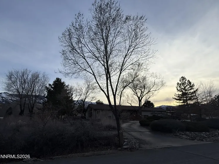 65 Nightowl, Reno, Nevada 89523, 3 Bedrooms Bedrooms, ,2 BathroomsBathrooms,Residential,Residential,Nightowl,260001971