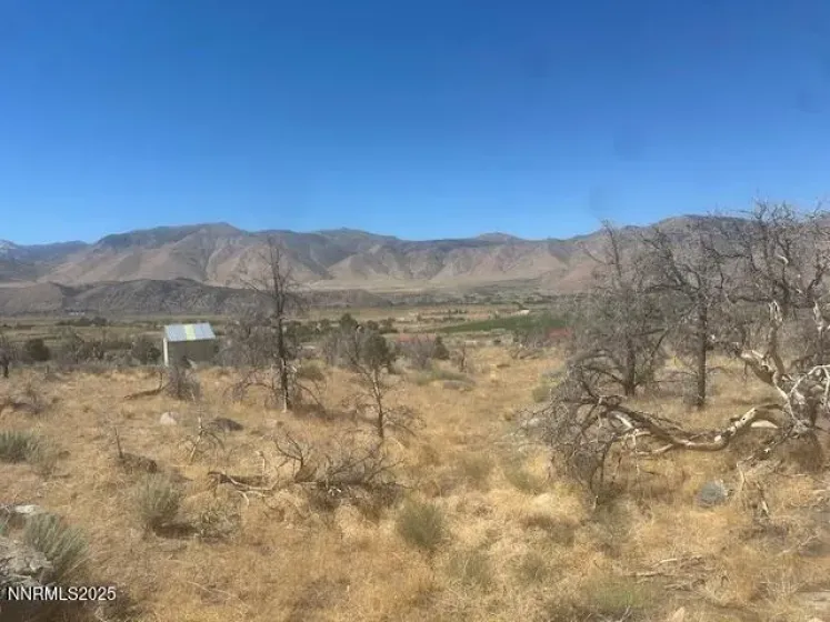 0 Pinon Place, Coleville, California 96107, ,Land,Residential,Pinon Place,250054818