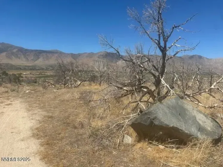 0 Pinon Place, Coleville, California 96107, ,Land,Residential,Pinon Place,250054818