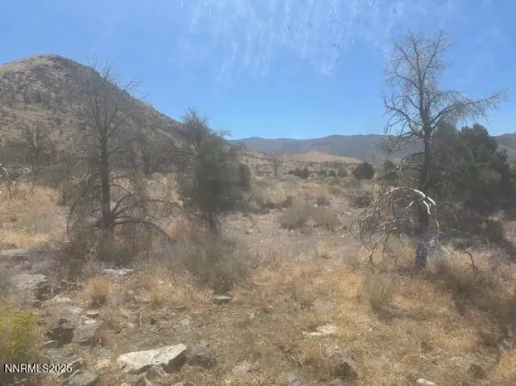 0 Pinon Place, Coleville, California 96107, ,Land,Residential,Pinon Place,250054818